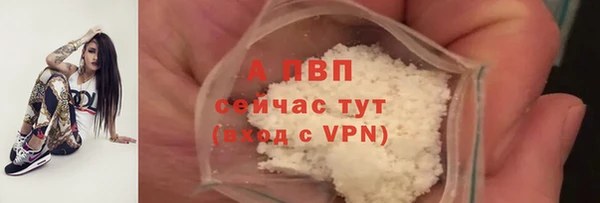 марки lsd Новозыбков
