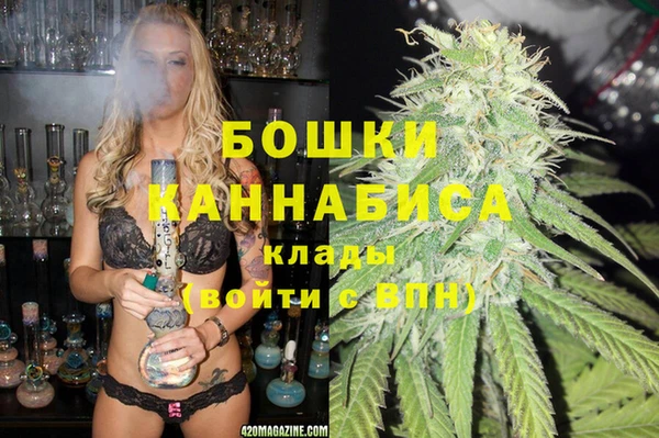 стаф Няндома