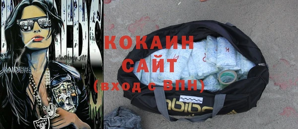 стаф Няндома