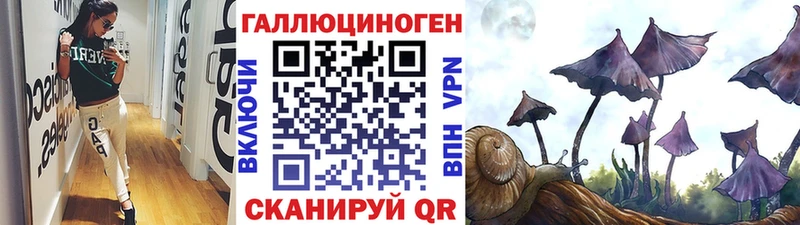 kraken ССЫЛКА  Ильский  Галлюциногенные грибы Psilocybe 